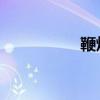 鞭炮声 播放（炮竹声）