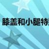 膝盖和小腿特别疼（膝盖和小腿疼怎么回事）