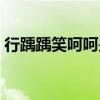 行踽踽笑呵呵是什么意思（呵呵是什么意思）
