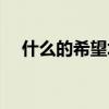什么的希望填空词语（什么的希望填空）