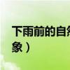 下雨前的自然现象有哪些?（下雨前的自然现象）