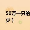 50万一只的独角仙图（一只普通鹿角虫卖多少）