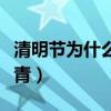 清明节为什么要踏青插柳（清明节为什么要踏青）