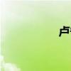 卢宁静图片（卢宁静）