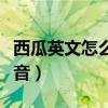 西瓜英文怎么读语音播放（西瓜英文怎么读语音）