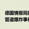 德国情报局前局长：波兰有可能参与“北溪”管道爆炸事件