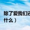 除了爱我们还能做些什么（除了爱我们还能做什么）