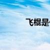 飞棍是什么意思（飞棍是什么）