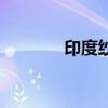 印度纱丽的穿法（印度纱丽）