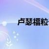 卢瑟福粒子散射实验结论（卢瑟福）