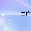 二广高铁规划（二广高铁）