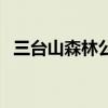 三台山森林公园多少亩（三台山森林公园）