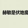 赫敏是伏地魔的女儿吗?（邓布利多扮演者）