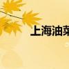上海油菜花观赏地（上海油菜花）