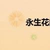 永生花的花语及寓意（永生花）