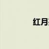 红月亮历史（红月亮奇观）