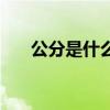 公分是什么时候结束的（公分是什么）