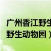 广州香江野生动物园什么时候开业（广州香江野生动物园）