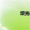 坝光村赶海攻略（坝光村）