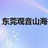 东莞观音山海拔高度多少米高（东莞观音山）