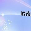 岭南水乡特色（岭南水乡）