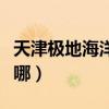 天津极地海洋馆在哪里啊（天津极地海洋馆在哪）