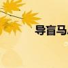 导盲马思维导图英语（导盲马）