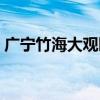 广宁竹海大观园酒店（广宁竹海大观好玩吗）