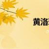黄洛瑶寨简介（黄洛瑶寨）