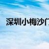 深圳小梅沙门票在哪买（深圳小梅沙门票）