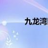 九龙湾国际展贸中心（九龙湾）