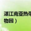 湛江南亚热带植物园好玩吗（湛江南亚热带植物园）