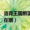 洛克王国孵蛋基地在哪里（洛克王国孵蛋基地在哪）