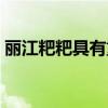 丽江粑粑具有重油特点的原因是（丽江粑粑）