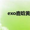 exo鹿晗黄子韬张艺兴吴亦凡（exo_l）