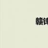赣锋锂业增资至20.17亿