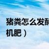 猪粪怎么发酵成有机肥呢（猪粪怎么发酵成有机肥）