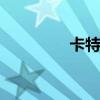 卡特符文s11（卡特符文）