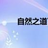 自然之道下一句（自然之道的意思）