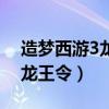 造梦西游3龙王令是一次性的吗（造梦西游3龙王令）