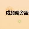 咸加偏旁组词与言组词（咸加偏旁组词）