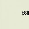 长相依卓依婷（长相依）