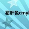 猪肝色cmyk色值为多少（猪肝色cmyk）
