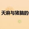 天麻与猪脑的作用（天麻和猪脑治疗什么病）