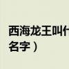 西海龙王叫什么名字哦是吗（西海龙王叫什么名字）