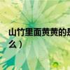 山竹里面黄黄的是什么山竹果肉透明（山竹里面黄黄的是什么）