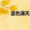 蓝色满天星代表什么（蓝色满天星）