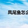 凤尾鱼怎么繁殖（凤尾鱼的养殖方法）