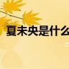 夏未央是什么意思啊?（夏未央是什么意思）