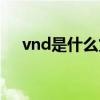 vnd是什么货币汇率（vnd是什么货币）